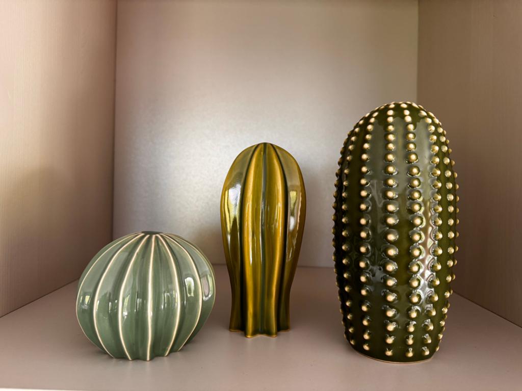 Decoratieset Cactussen, Ophalen, Zo goed als nieuw