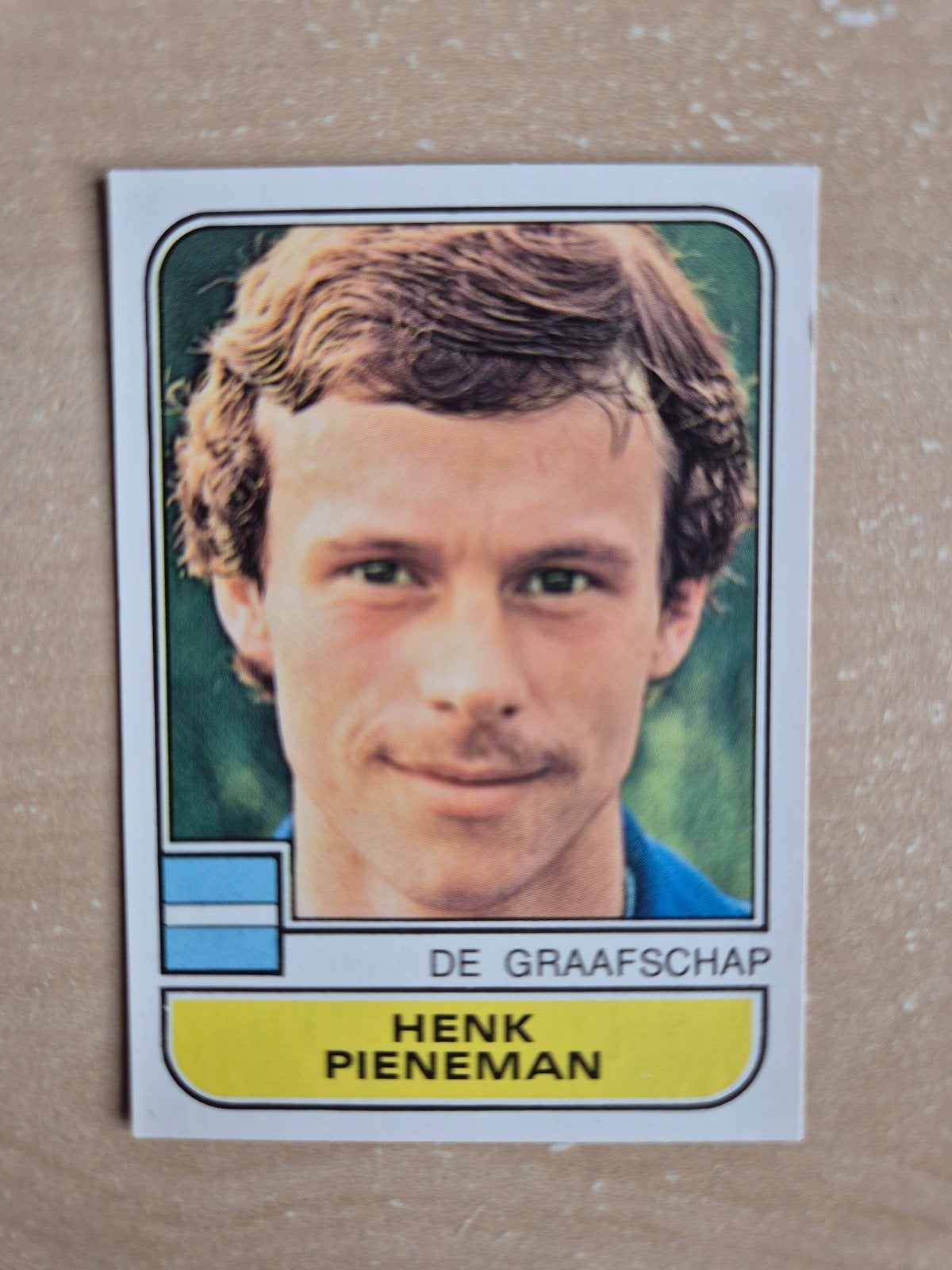 Panini Voetbal 82 Henk Pieneman, Verzamelen, Ophalen of Verzenden, Zo goed als nieuw, Ajax, Poster, Plaatje of Sticker