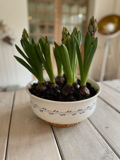 Grote wit blauwe schaal / fruitschaal / plantenschaal., Ophalen, Overige stijlen, Aardewerk, Schaal of Schalen