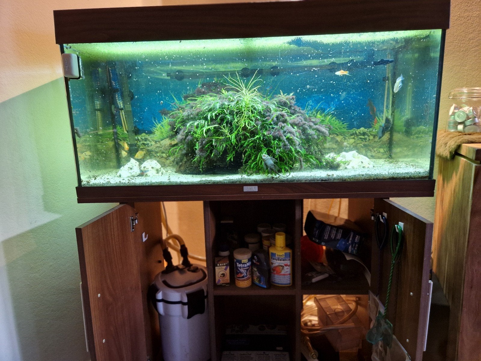Leuk aquarium te koop, Dieren en Toebehoren, Ophalen of Verzenden, Leeg aquarium