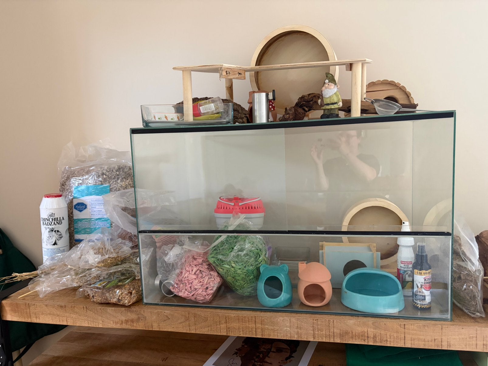 Hamsterkooi en alle bijbehorende hamsterspullen, Dieren en Toebehoren, Knaagdieren en Konijnen | Hokken en Kooien, Minder dan 60 cm
