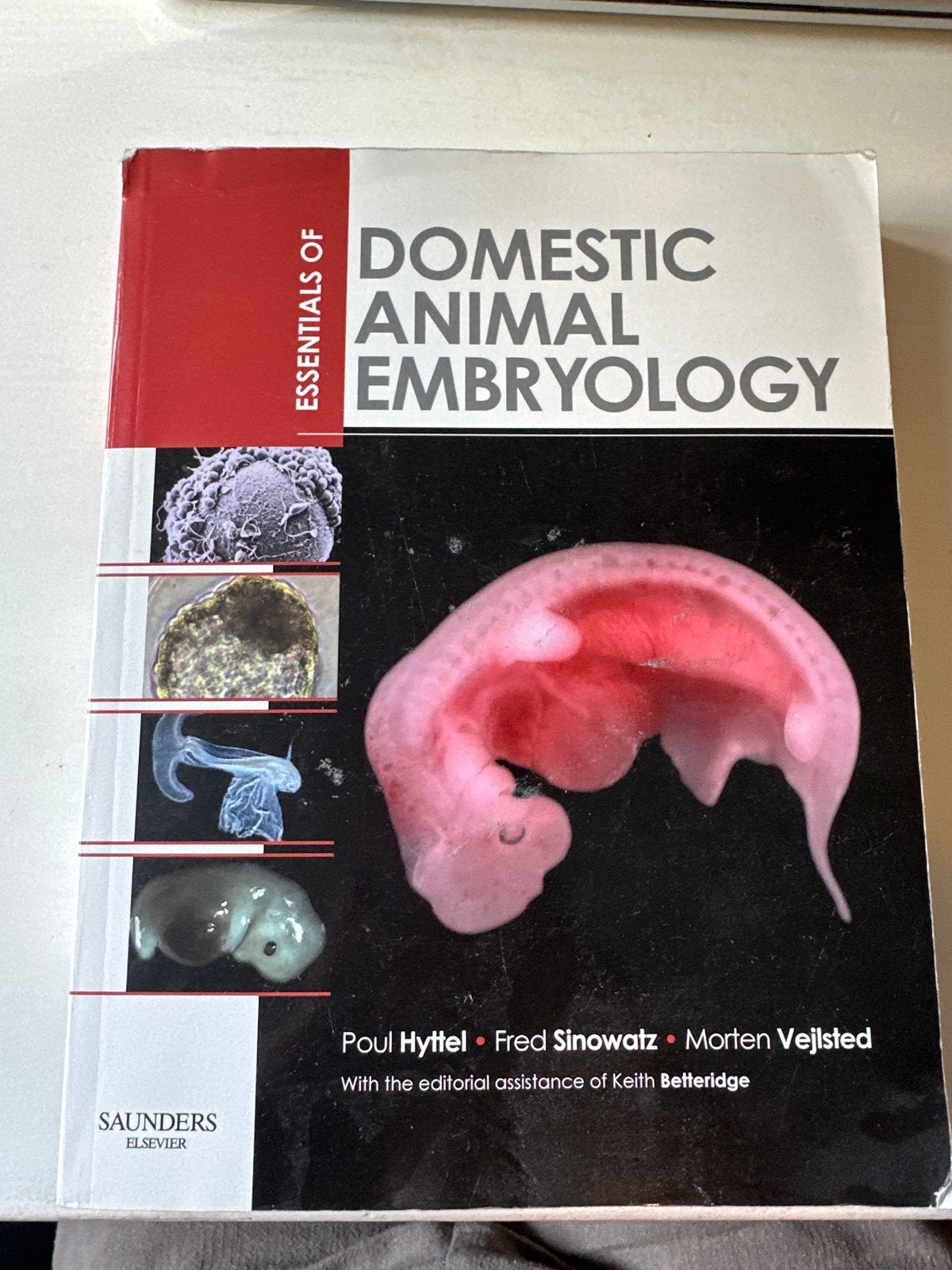 Essentials of Domestic Animal Embryology - Diergeneeskunde, Boeken, Studieboeken en Cursussen, Zo goed als nieuw, WO, Beta, Ophalen of Verzenden