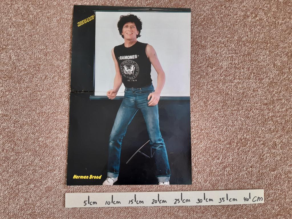 Poster Herman Brood A3 Hitkrant 28x41 cm, Verzamelen, Rechthoekig Staand, Ophalen of Verzenden, Zo goed als nieuw, A1 t/m A3