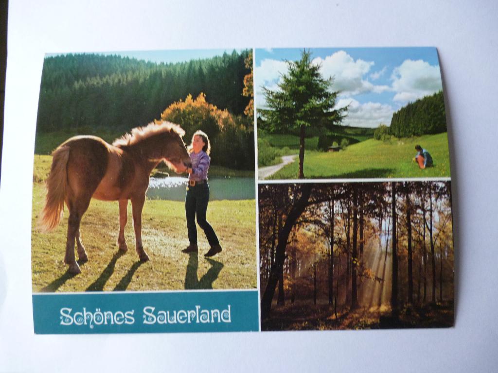 ansichtkaart Schones Sauerland Duitsland, Verzamelen, Ophalen of Verzenden, 1980 tot heden, Ongelopen, Duitsland