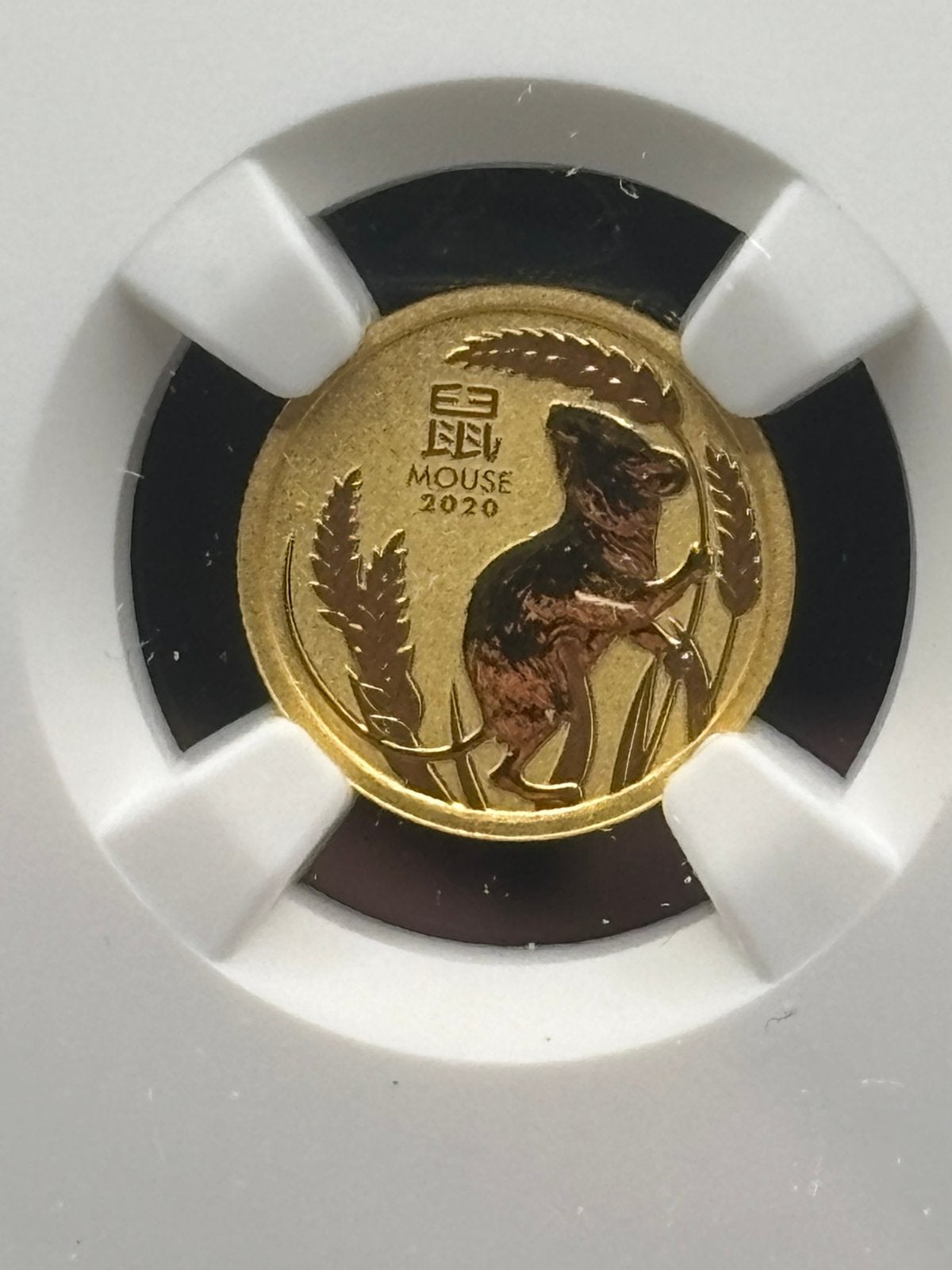 Lunar 1/20 year of the mouse 2020 - ms70 NGC 1,55 gram goud, Ophalen of Verzenden, Goud