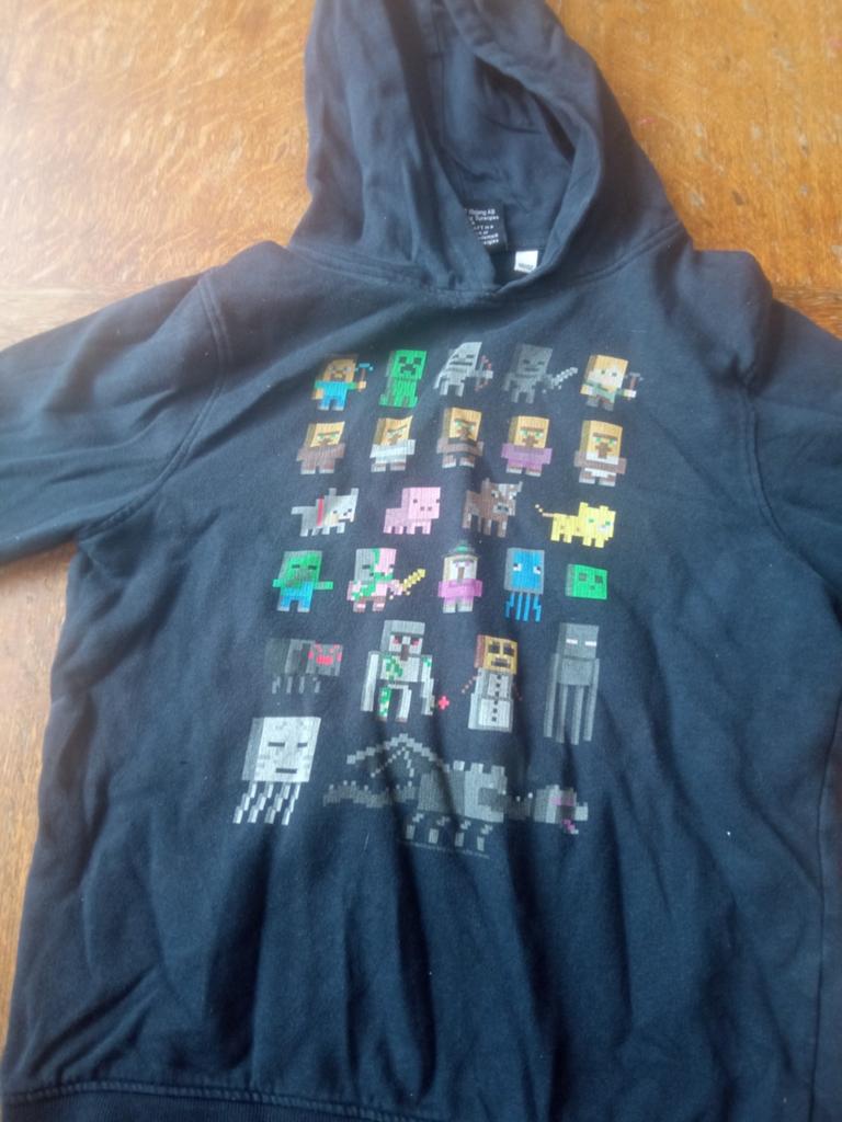 Minecraft trui 146/152 5 euro!, Ophalen of Verzenden, Gebruikt, Jongen of Meisje, Trui of Vest