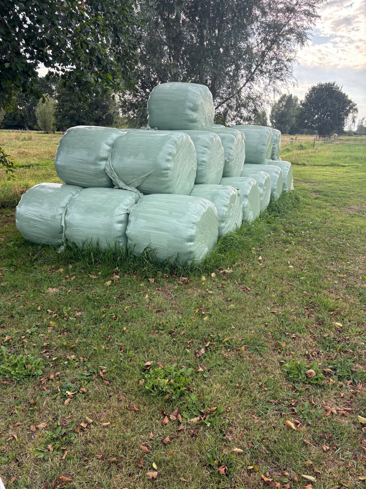 Midi Balen hooi te koop, Ophalen