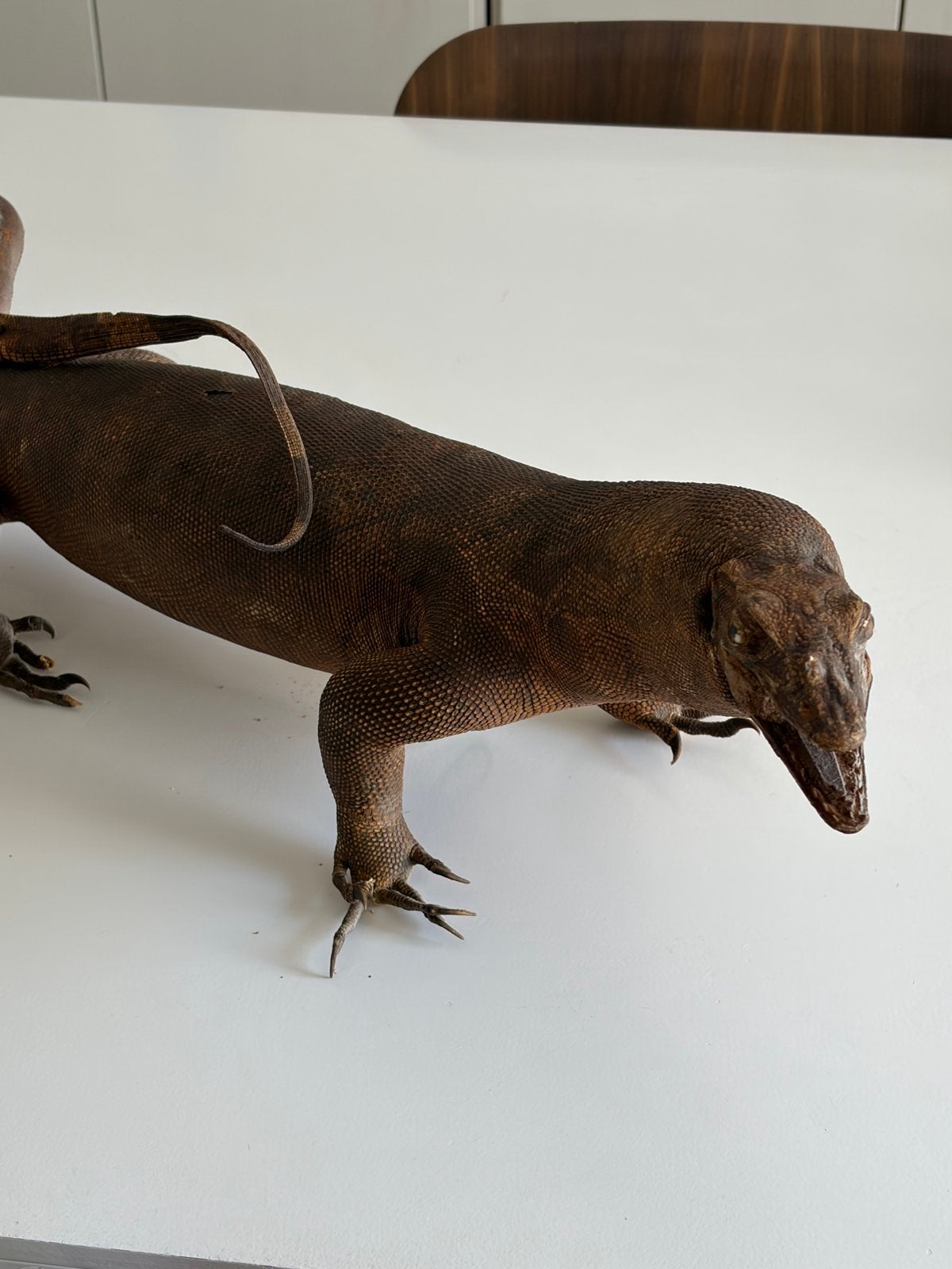 Komodo dragon sculpture, 0 tot 2 jaar