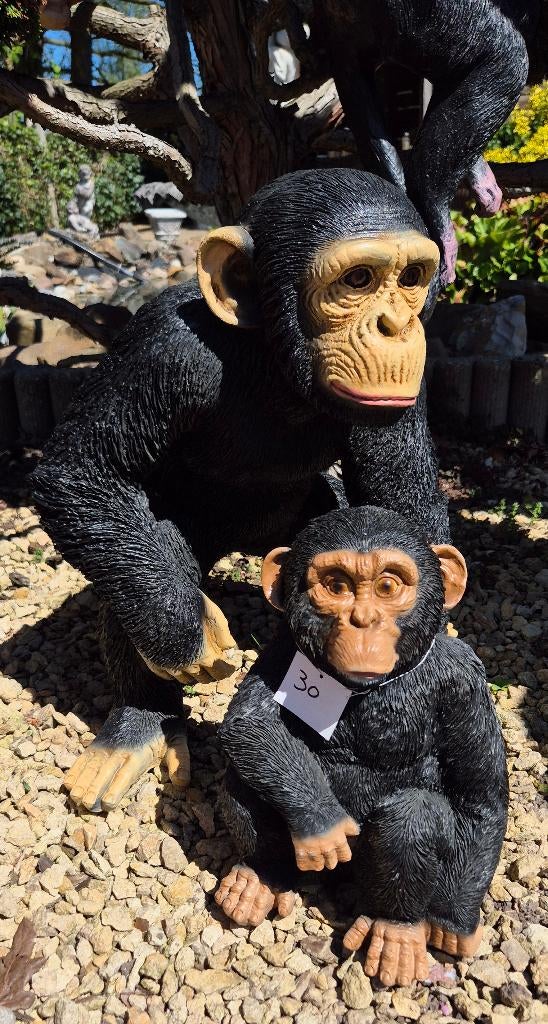 Chimpansees , 2 modellen, Tuin en Terras, Ophalen, Nieuw, Kunststof, Dierenbeeld