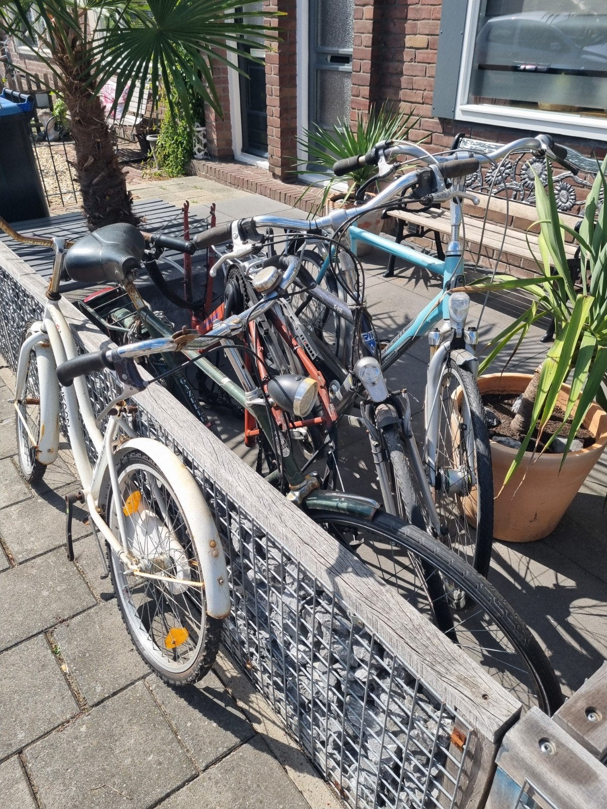 party fietsen, Ophalen of Verzenden