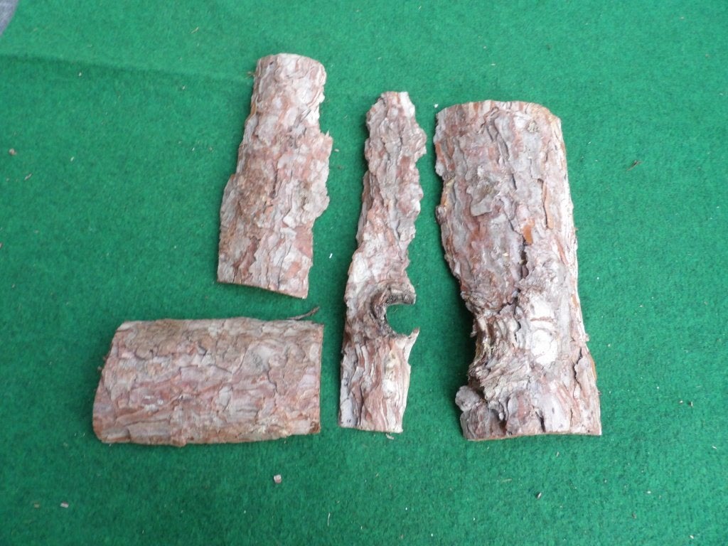 NIEUW 4 mooie grote droge stukken HOUTSCHORS ( 3 ), Ophalen of Verzenden, Nieuw