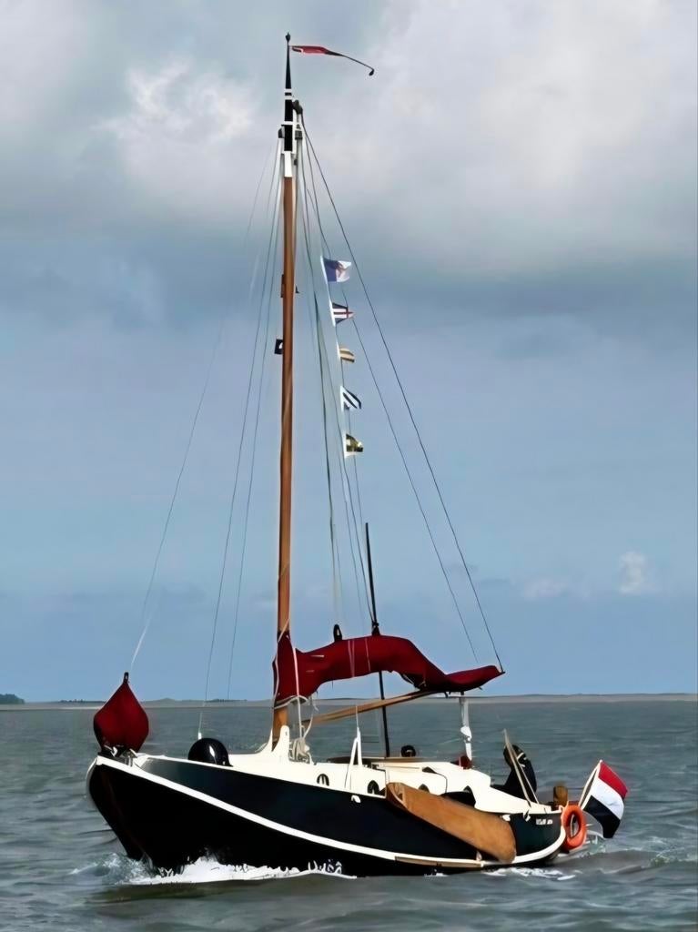 Tholense Schouw, Watersport en Boten, Platbodems, Ophalen, Gebruikt, Staal, Diesel