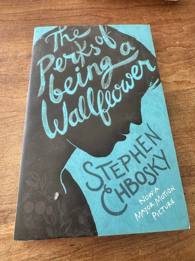 Engelstalig The Perks of Being a Wallflower Stephen Chbosky, Boeken, Romans, Zo goed als nieuw, Wereld overig, Verzenden