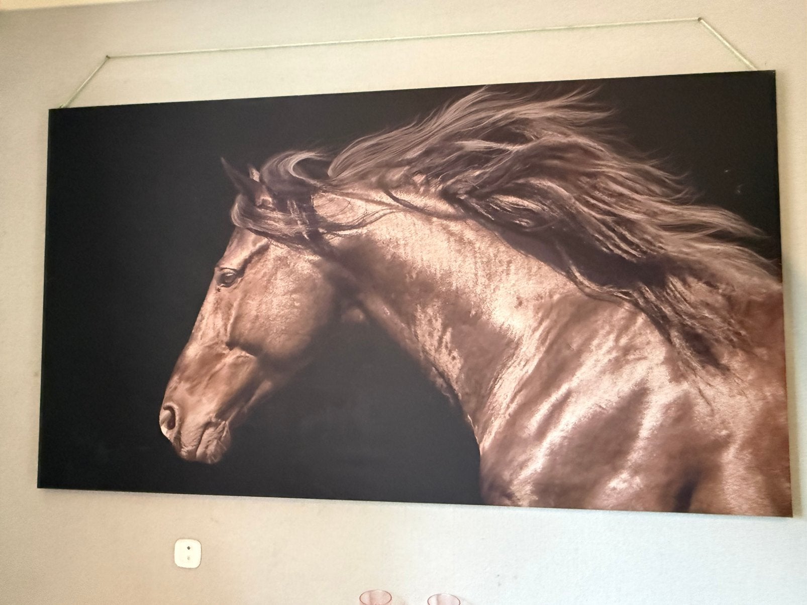 Zeer groot canvas. Als nieuw!, Huis en Inrichting, Woonaccessoires | Schilderijen, Tekeningen en Foto's, Ophalen, Zo goed als nieuw