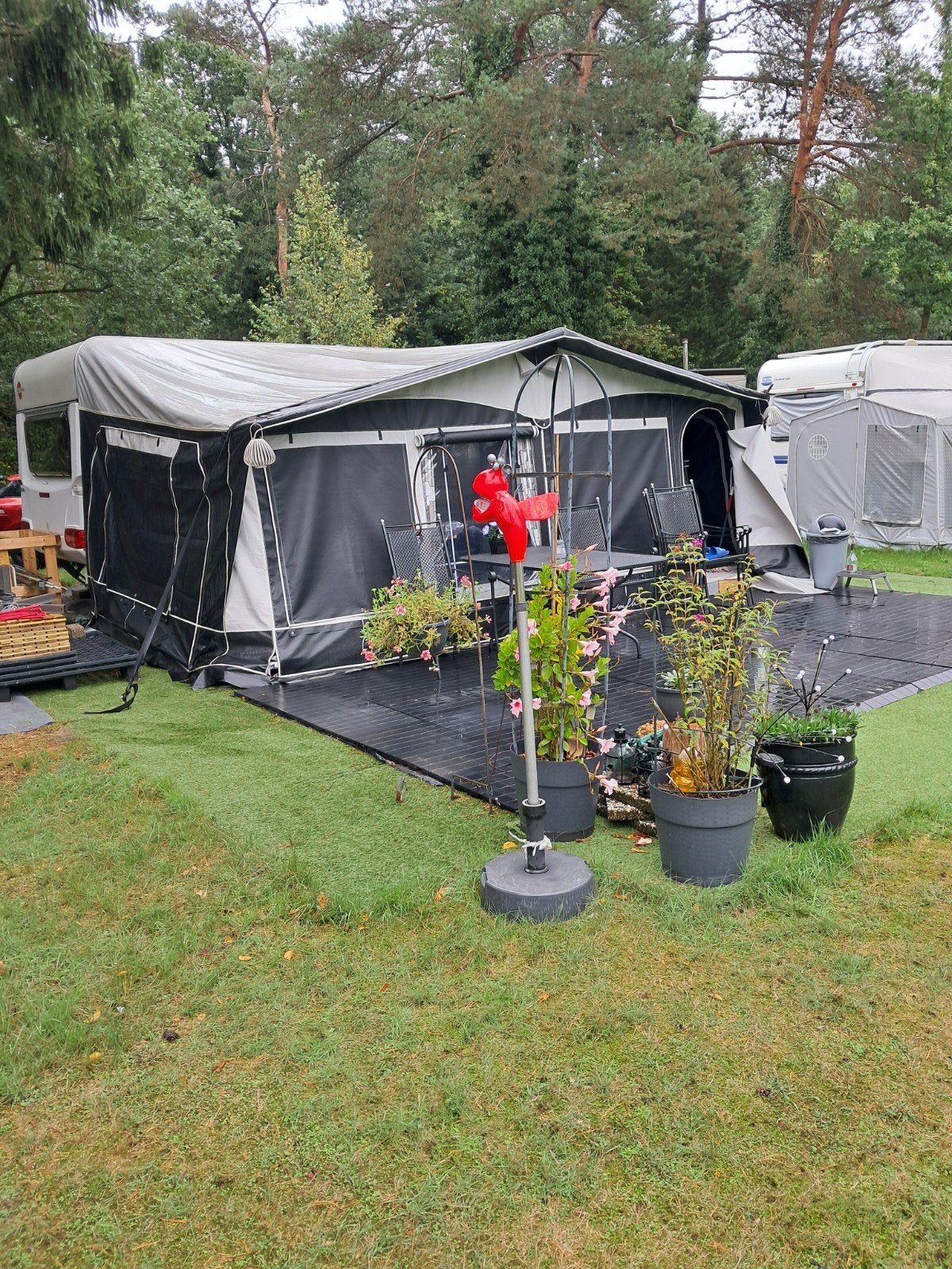 te koop voortent en luifel, Ophalen of Verzenden, Zo goed als nieuw, PVC, Walker Campingstyle