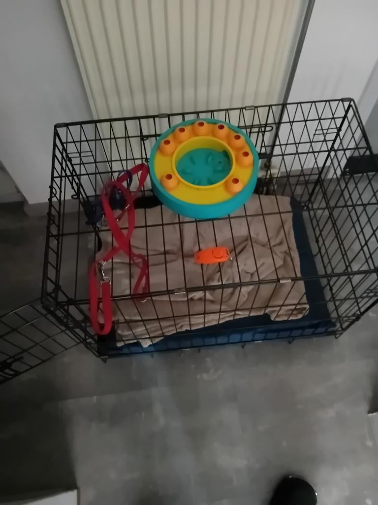 Kleine bench, Ophalen, Hondenkennel, 65 tot 100 cm, Zo goed als nieuw