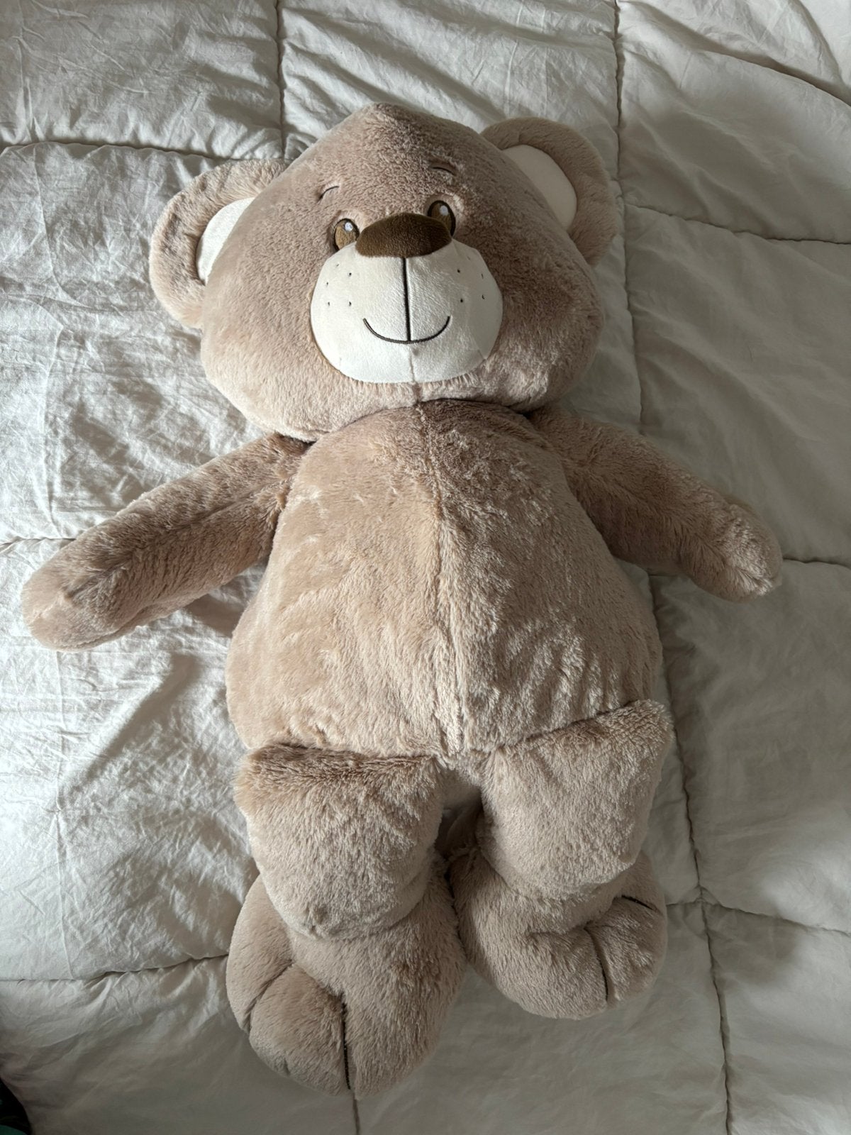 NIEUW met kaartje: knuffel beer Tiamo, Ophalen of Verzenden, Nieuw, Beer