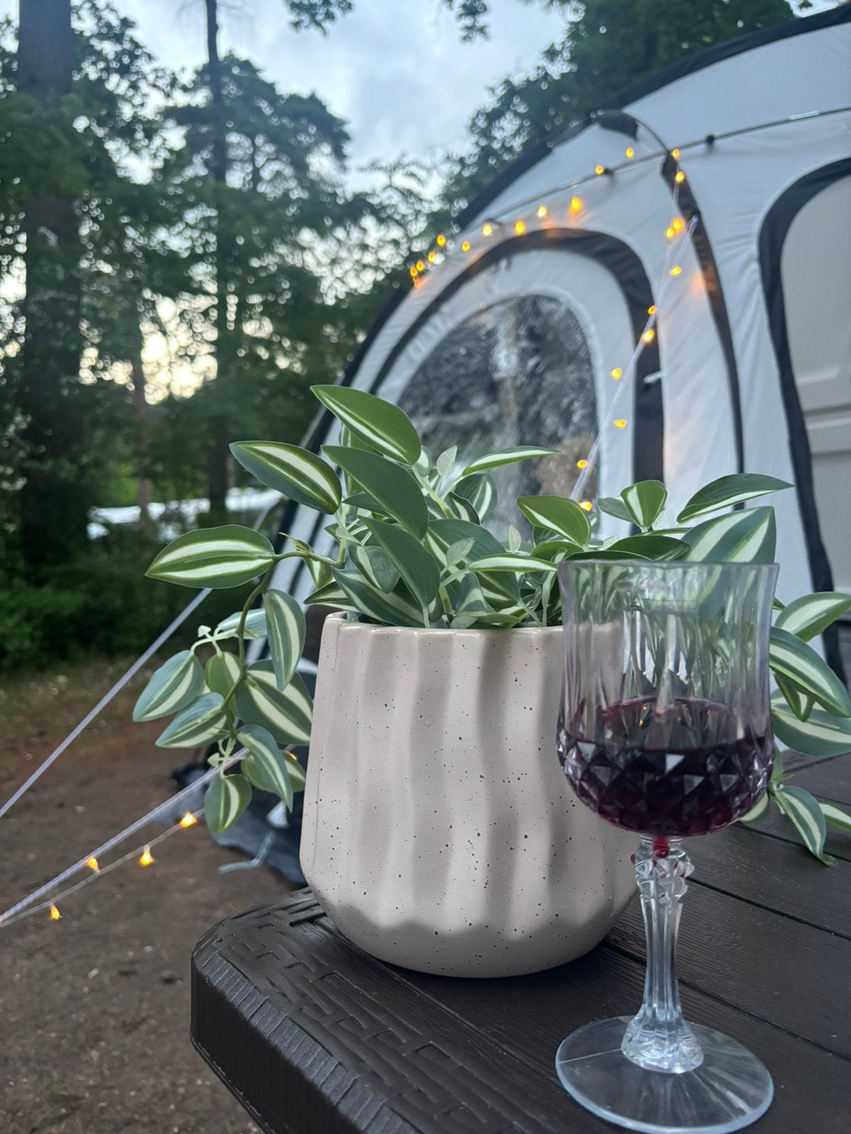 Obelink treffer plus caravanvoortent, Ophalen of Verzenden, Zo goed als nieuw