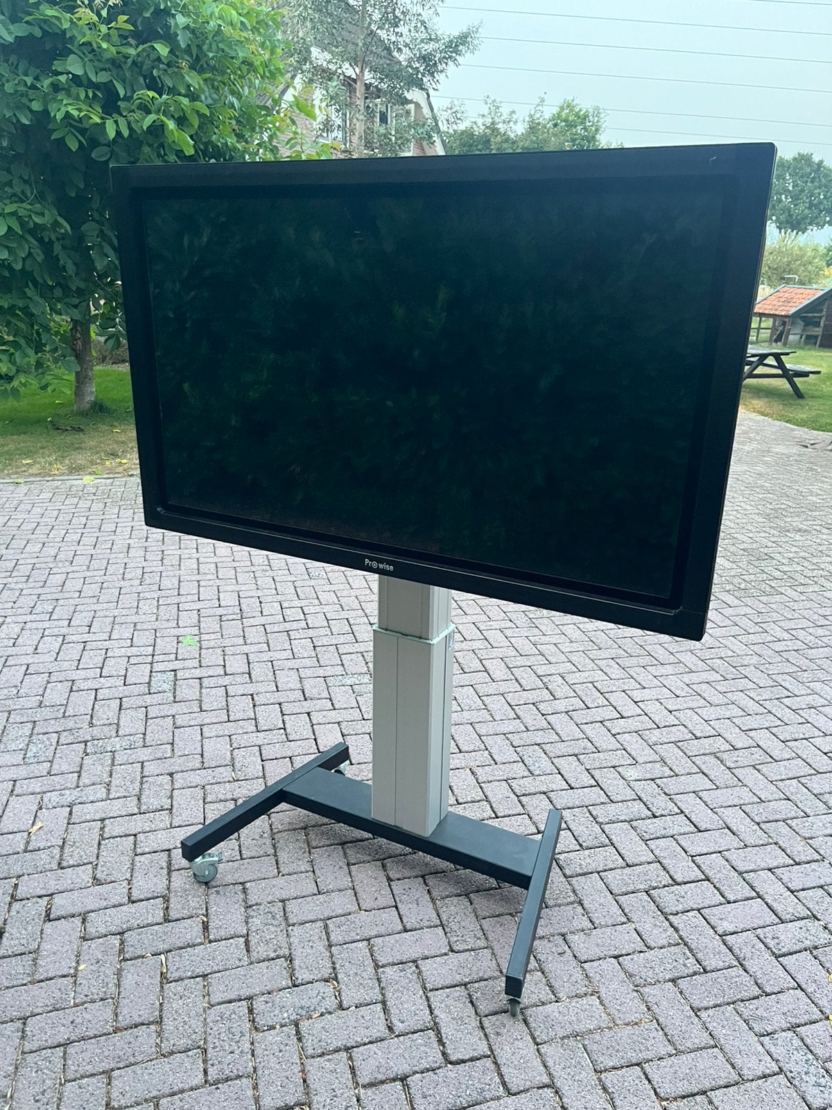 Prowise 65" Digibord te huur, Ophalen, Elektrisch, Zo goed als nieuw
