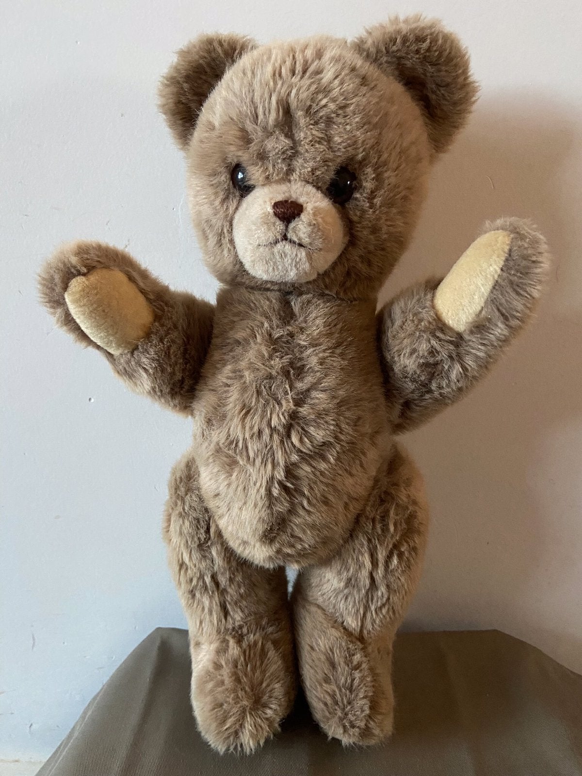 Steiff teddybeer Petsy, 40cm, Ophalen of Verzenden, Zo goed als nieuw, Stoffen beer, Steiff