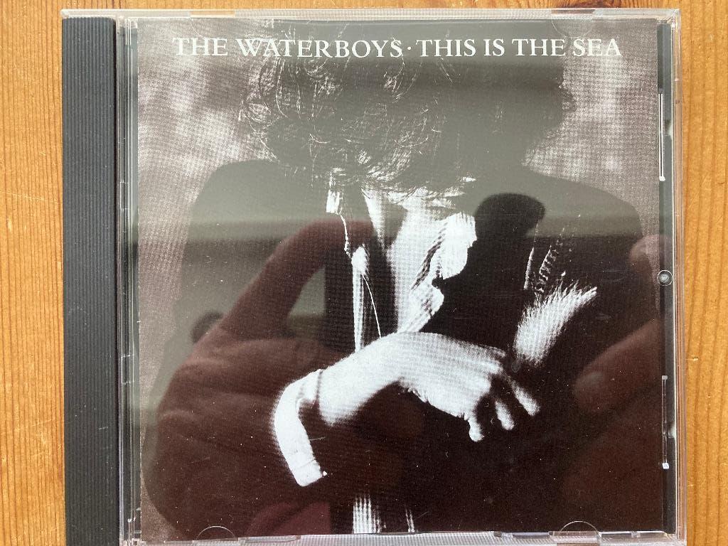 the waterboys, Ophalen of Verzenden, Zo goed als nieuw, Poprock