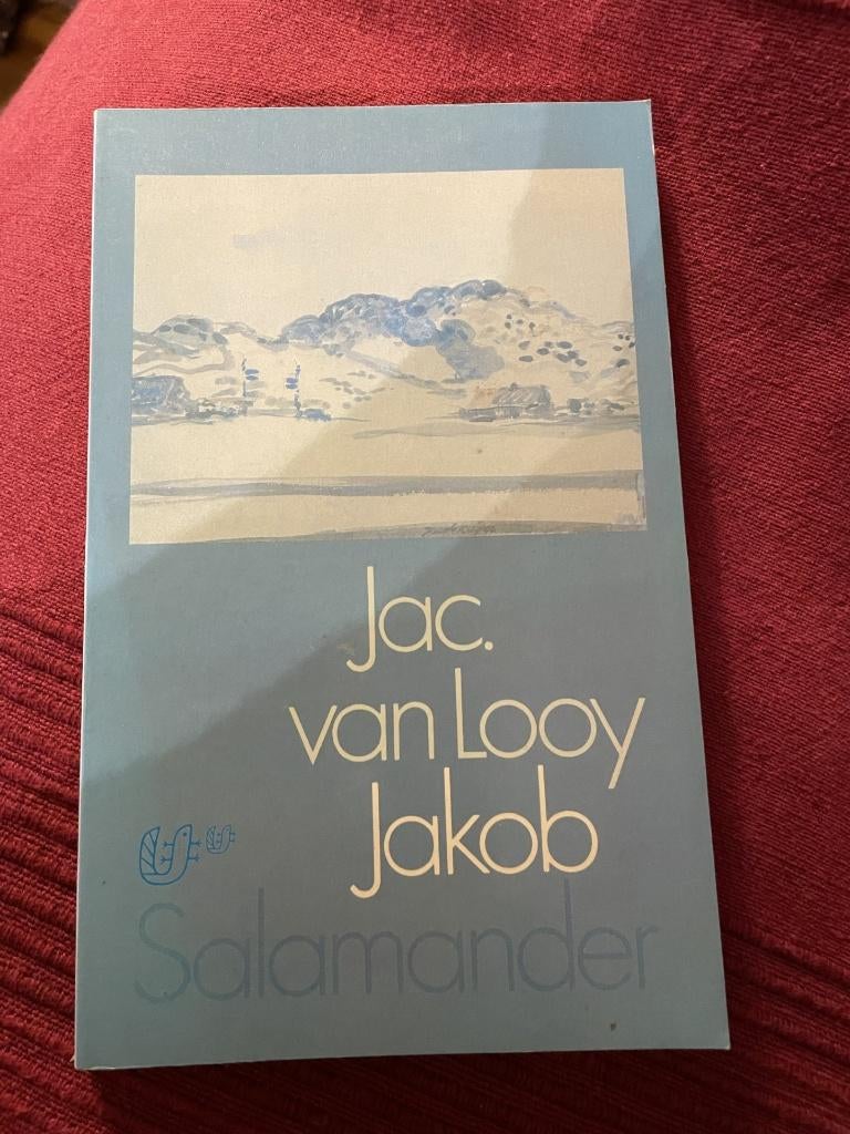 Jacobus van looy /Jacob, Ophalen of Verzenden, Zo goed als nieuw