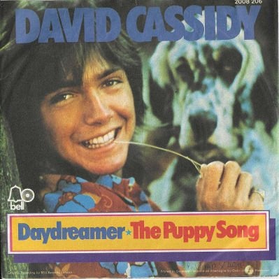 David Cassidy 1973 C1064, Gebruikt, 7 inch, Ophalen of Verzenden, Pop