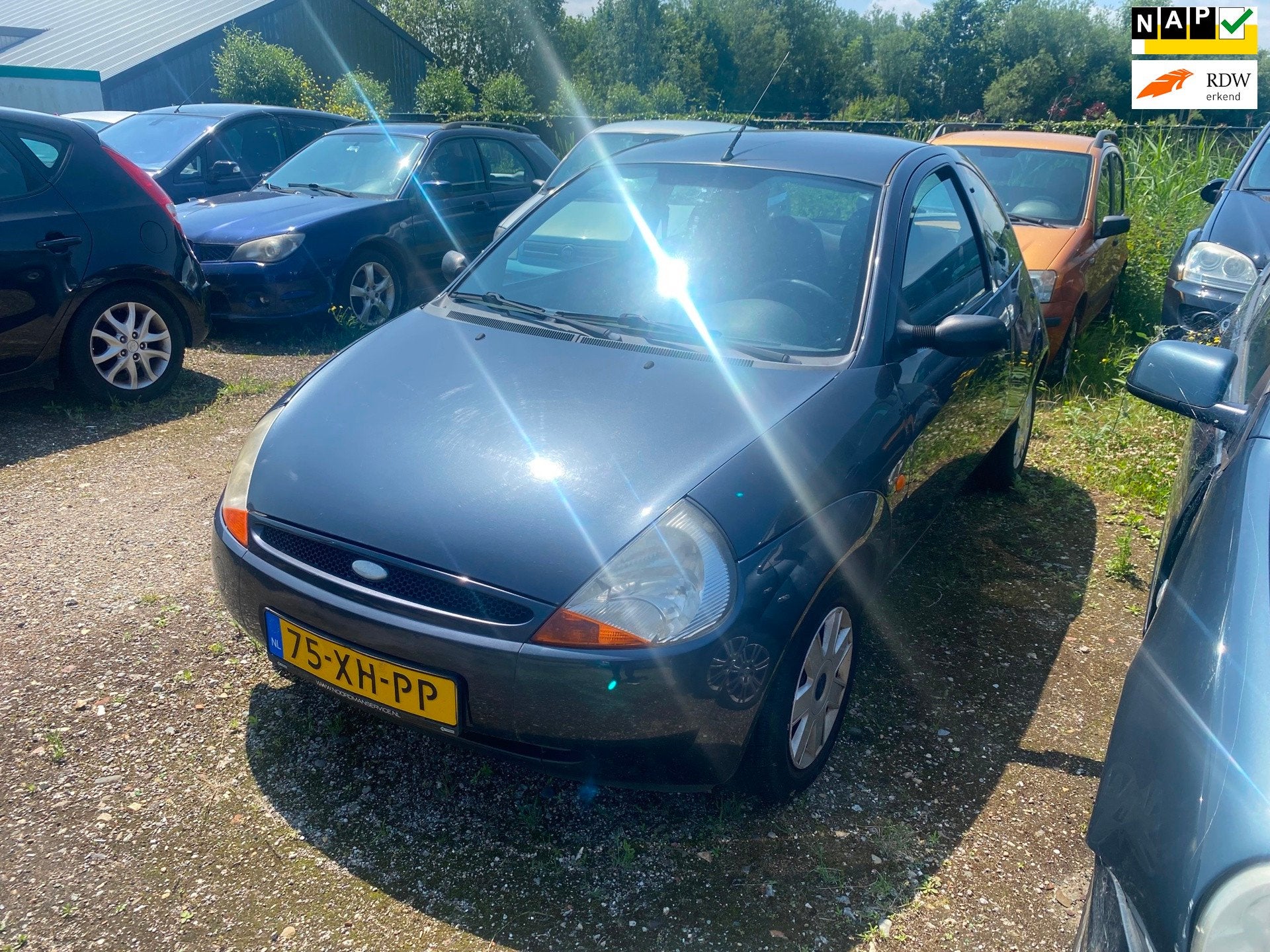 Ford Ka 1.3 Futura, Auto's, Ford, Voorwielaandrijving, 1299 cc, Gebruikt, 31 €/maand