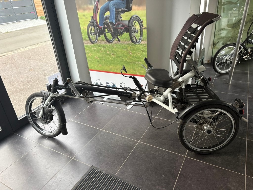 easy sport Van Raam met motor +garantie, Fietsen en Brommers, Onderstuur, Zo goed als nieuw, Schijfrem, Ophalen