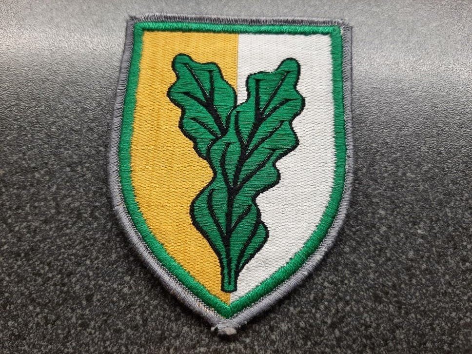 Duitsland  - Heimatschutzbrigade  Hschbrig 52 Lingen 83x62mm, Ophalen of Verzenden, Landmacht, Duitsland, Embleem of Badge