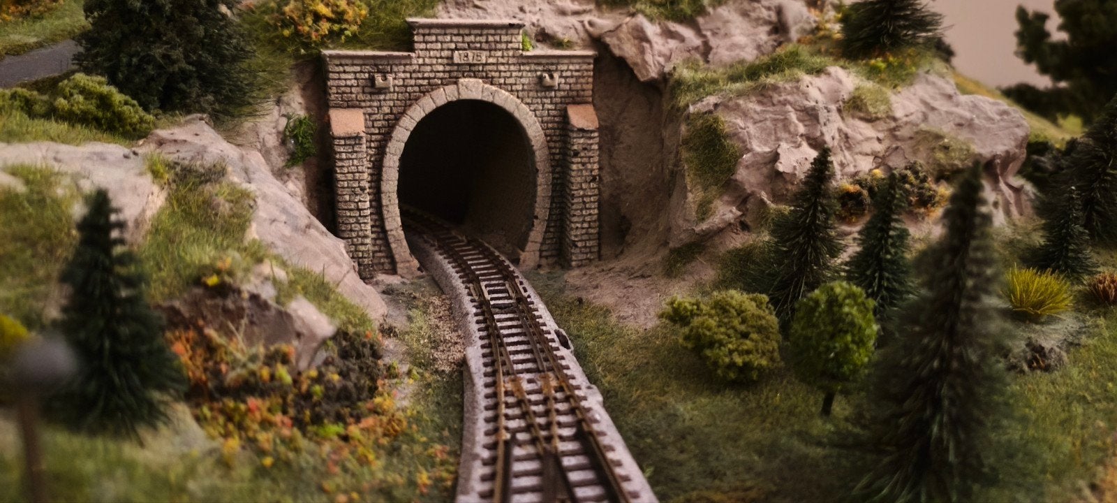 Uitgebreide modelspoorbaan met landschap, Wisselstroom, Gebruikt, Overige typen, Ophalen