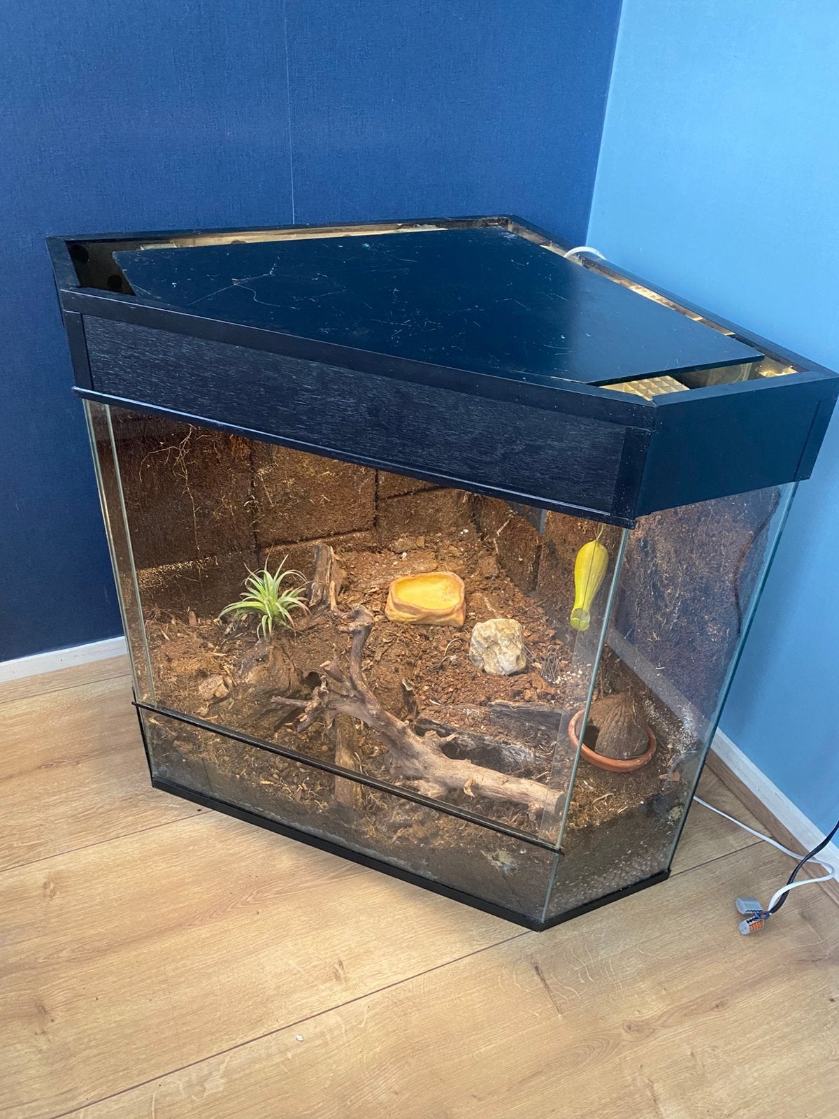 Vivarium met extra’s, Dieren en Toebehoren, Reptielen en Amfibieën | Toebehoren, Ophalen, Gebruikt, Terrarium of Paludarium