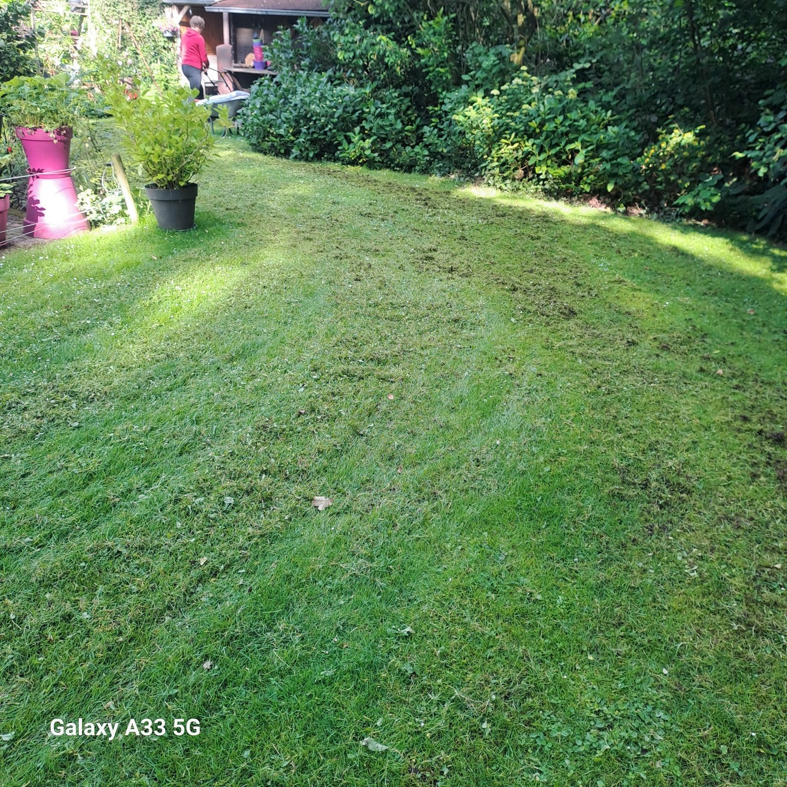 Verticuteer machine, Tuin en Terras, Verticuteermachines, Ophalen, Gebruikt, Benzine