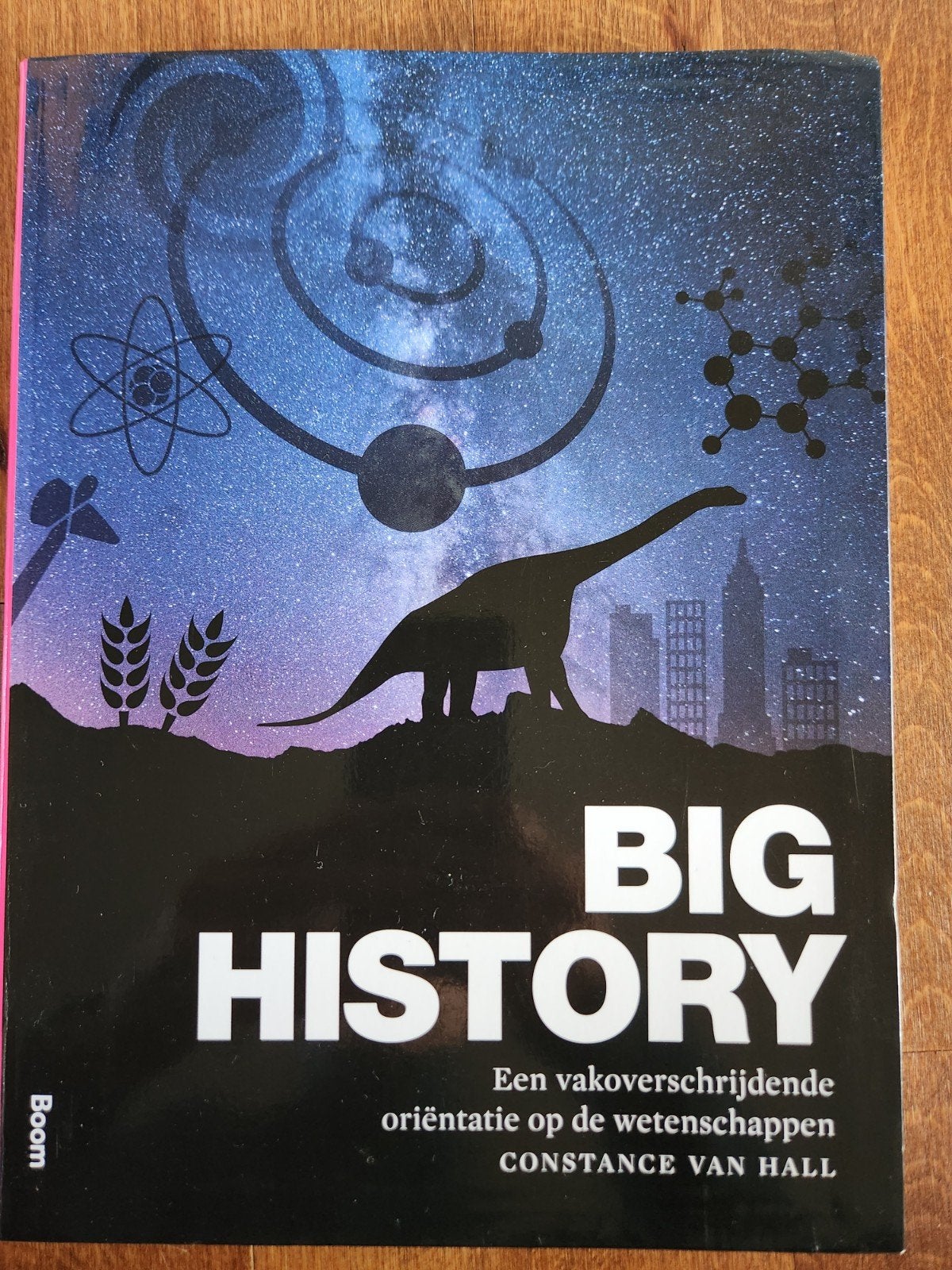 Big History: Een vakoverstijgende oriëntatie op de wetenscha, Ophalen of Verzenden, Zo goed als nieuw, Constance van Hall, Overige wetenschappen