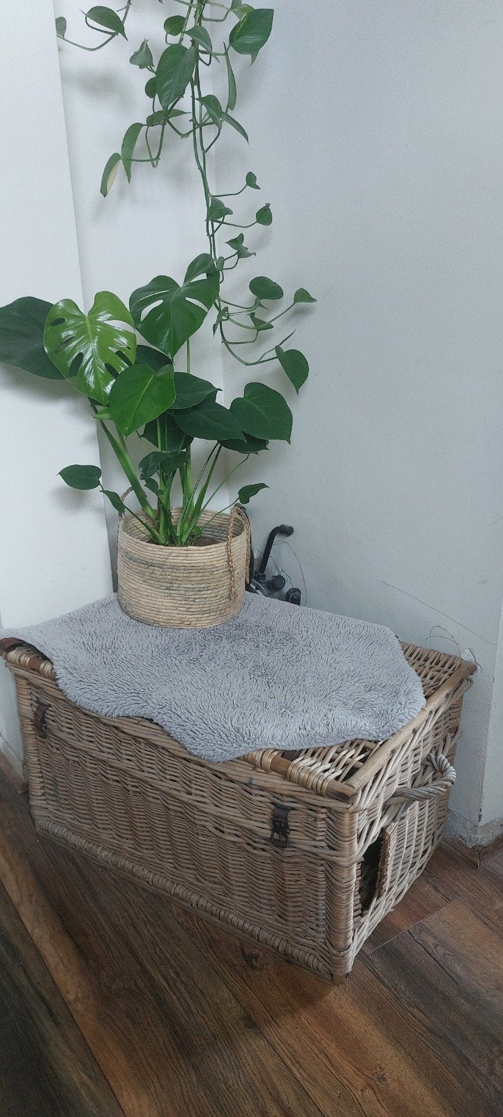 Katten bak/mand, Huis en Inrichting, Woonaccessoires | Kisten, Ophalen of Verzenden, 50 tot 100 cm, Minder dan 50 cm, Minder dan 50 cm