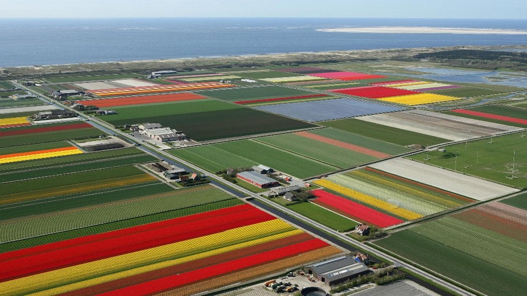 Foto 20 van Exclusieve Wellness Bungalow aan Zee – Julianadorp aan Zee