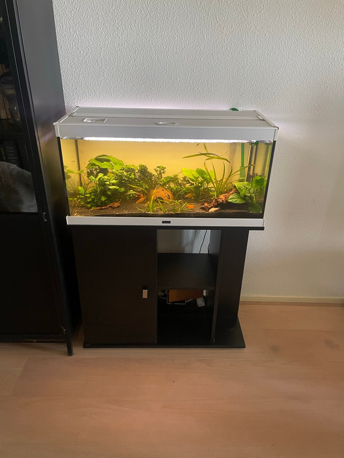 Aqualantis 80 cm, Dieren en Toebehoren, Ophalen of Verzenden