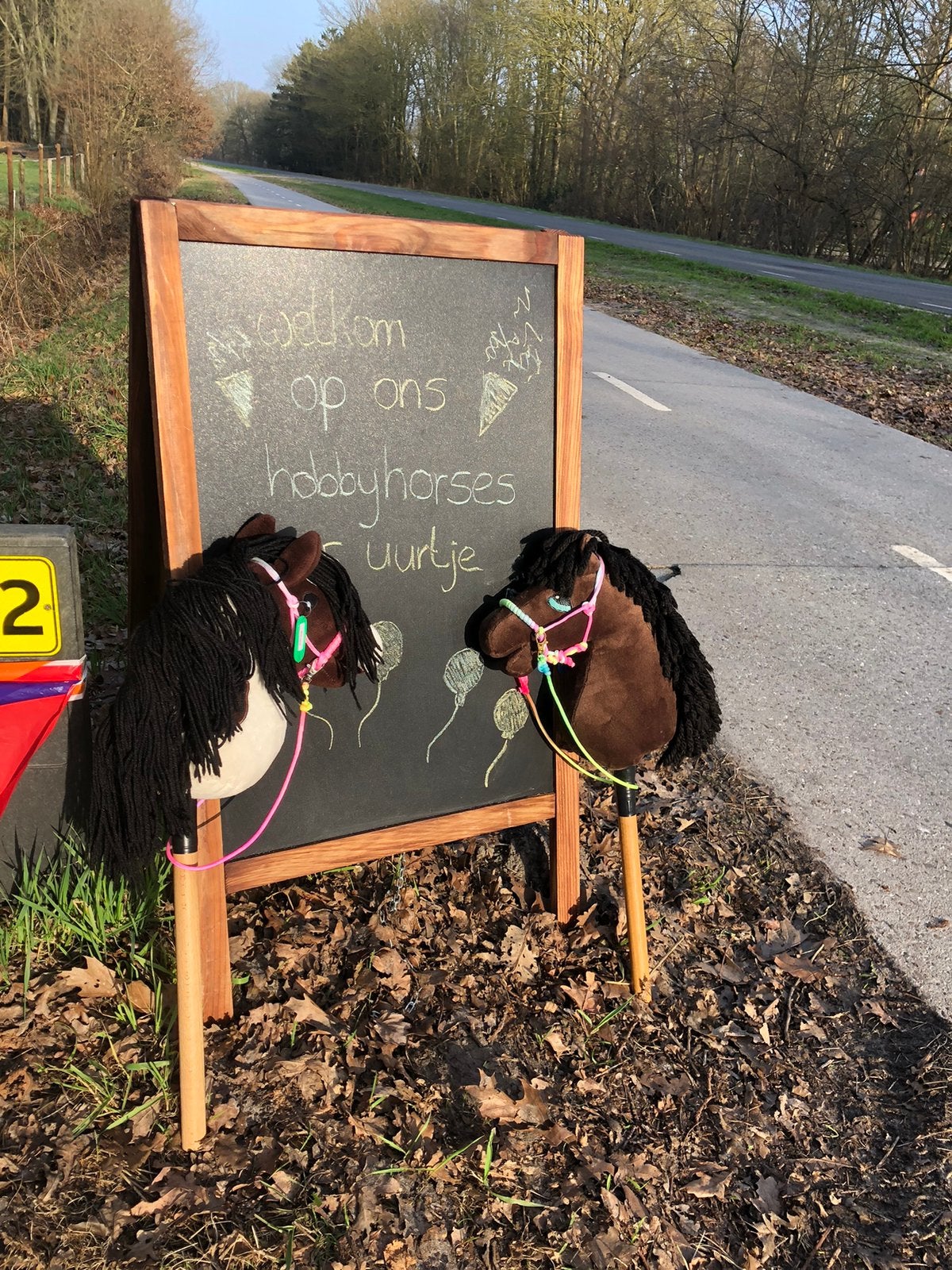 Hobby horses 1,5 uurtje uitje friesland, stokpaardjes, Ophalen, Zo goed als nieuw