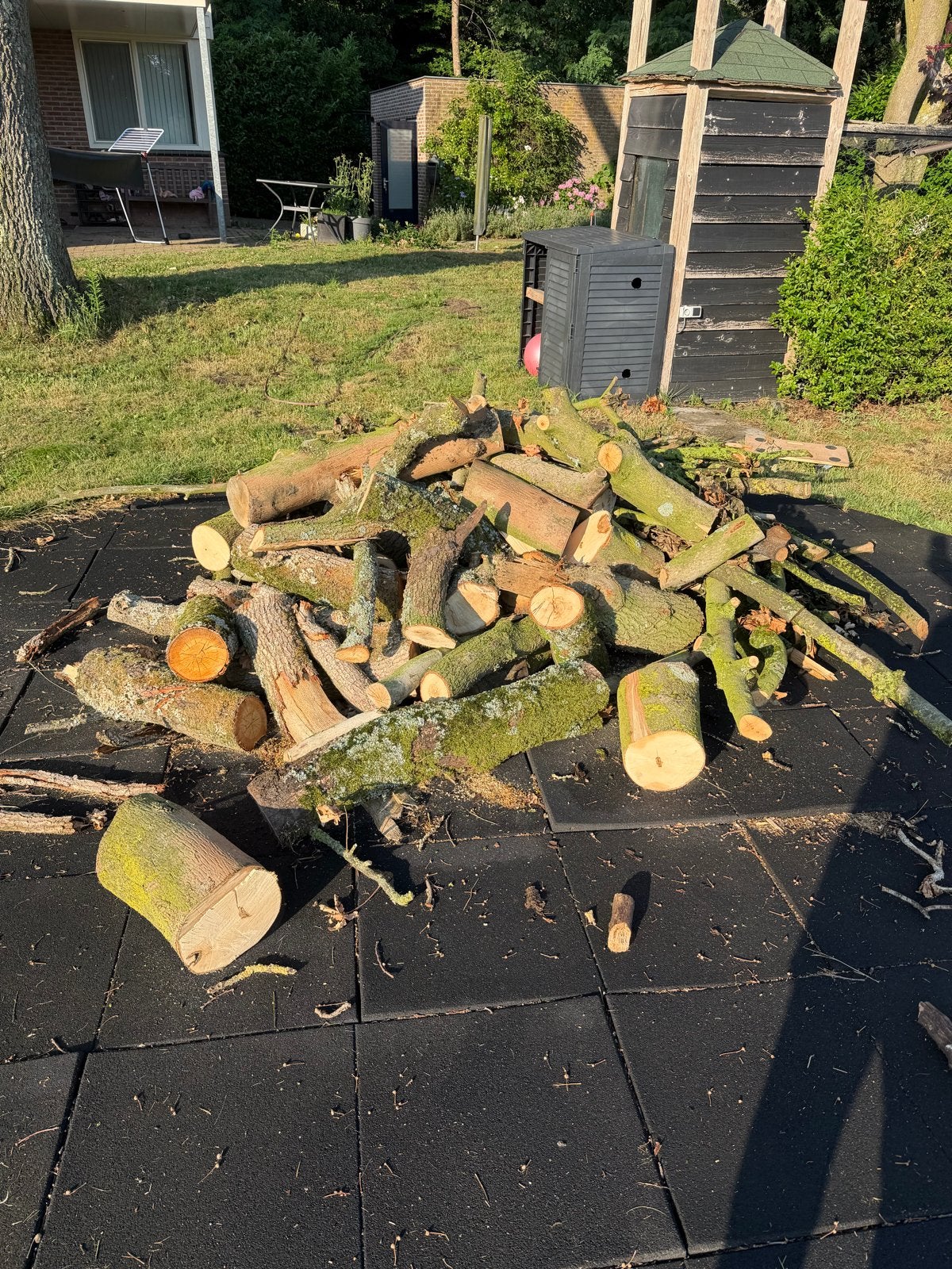 Brandhout: Blokken en takken van diverse houtsoorten, Tuin en Terras, Haardhout, 3 tot 6 m³, Ophalen, Eikenhout, Blokken