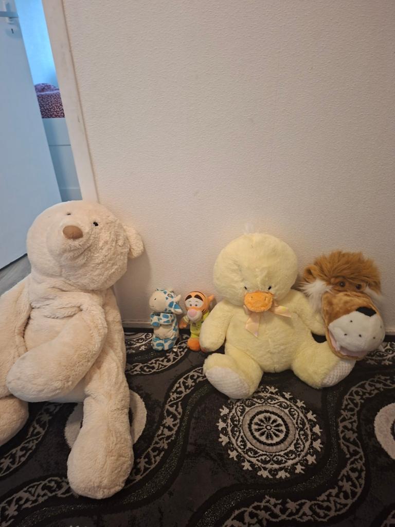 Grote knuffels: Beer, Eend, Kikker, Tijger en meer!, Ophalen, Gebruikt, Beer, Middelgroot (20 tot 80 cm)