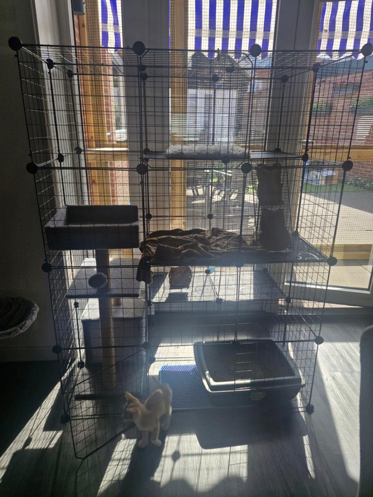 Handige kattenren!, Dieren en Toebehoren, Katten-accessoires, Ophalen of Verzenden
