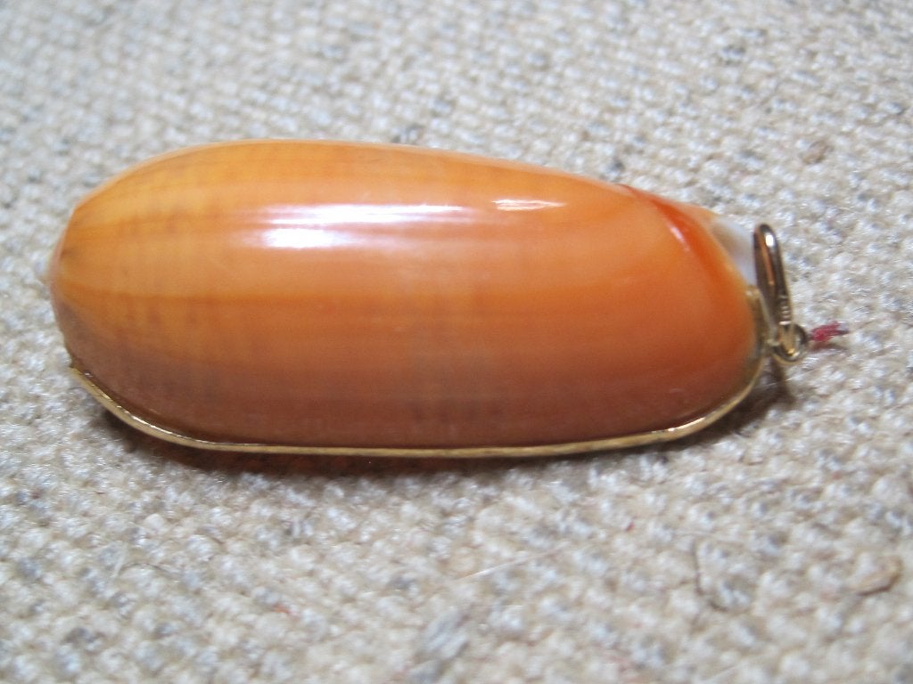 Vintage hanger met 18K gouden rand Oliva irisans cryptospira, Ophalen, Zo goed als nieuw, Oranje, Goud