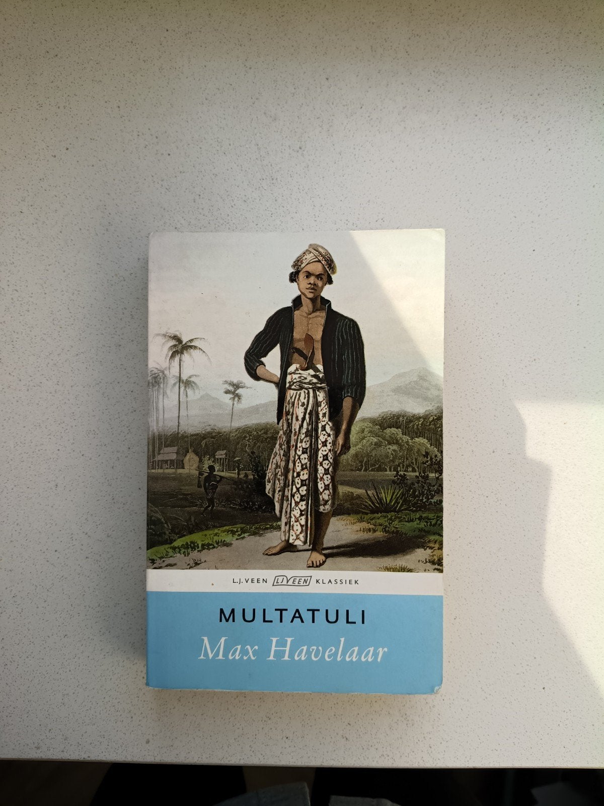 Max Havelaar - Multatuli, Boeken, Ophalen of Verzenden, Gelezen