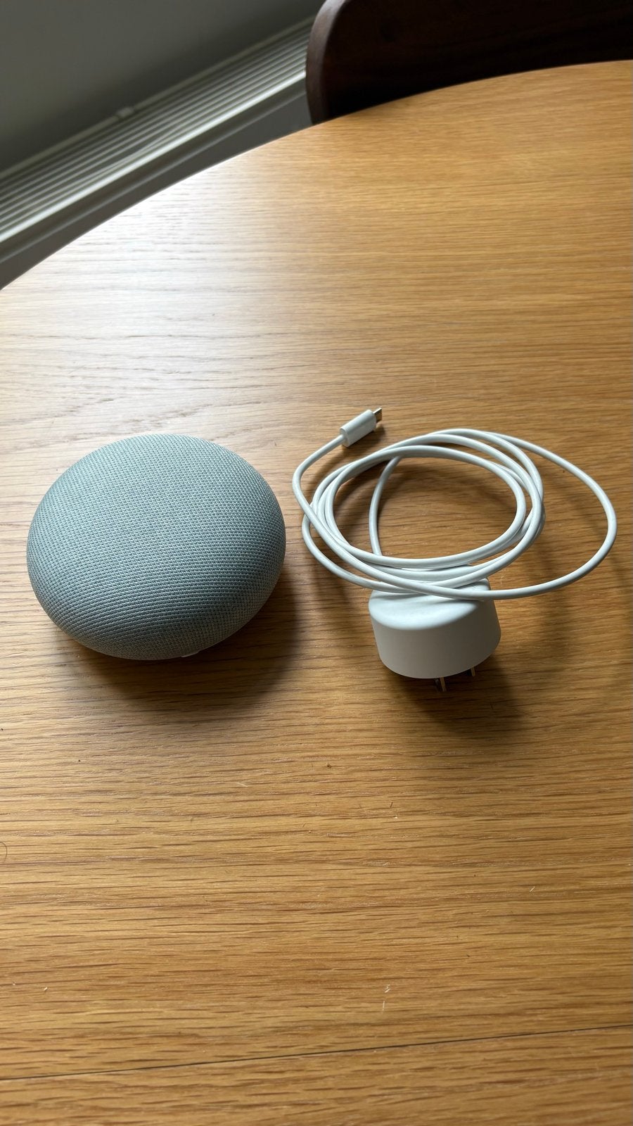 Google Home Mini Speaker met US plug