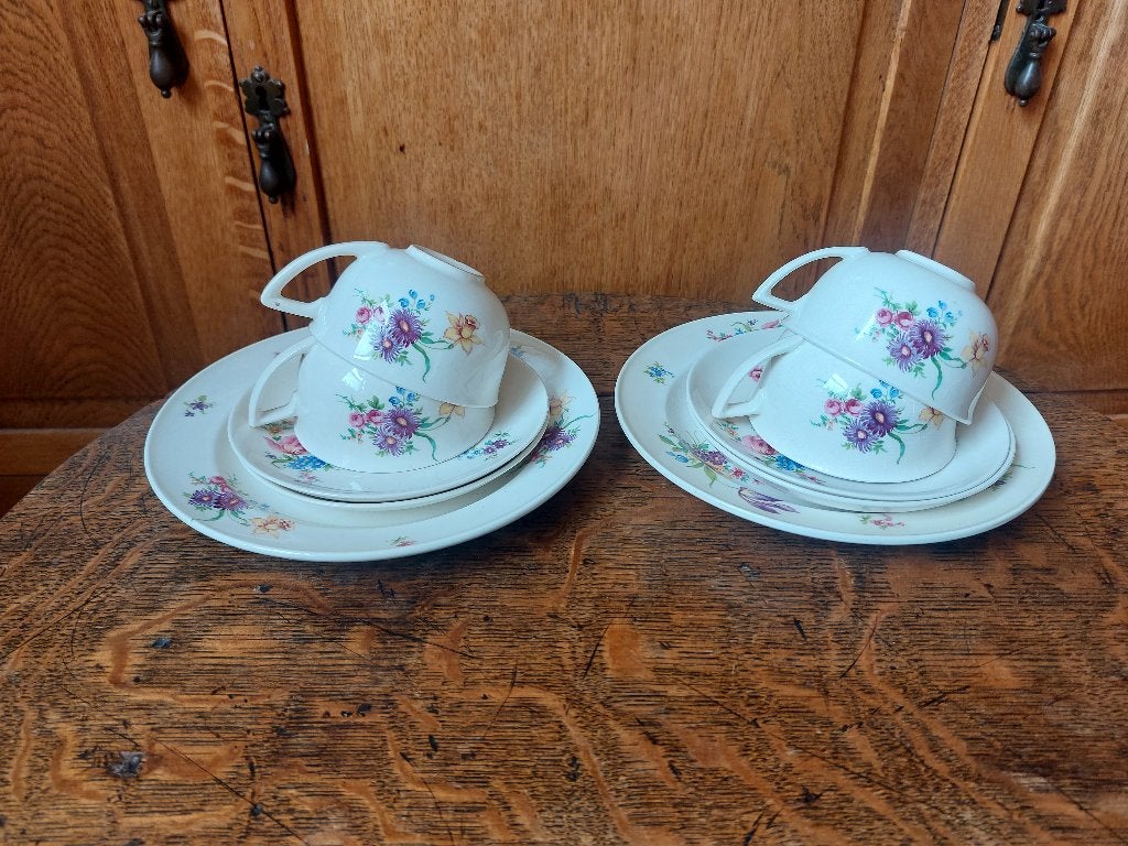 Servies Petrus Regout Paarse Lis Kop en Schotel, Ophalen of Verzenden
