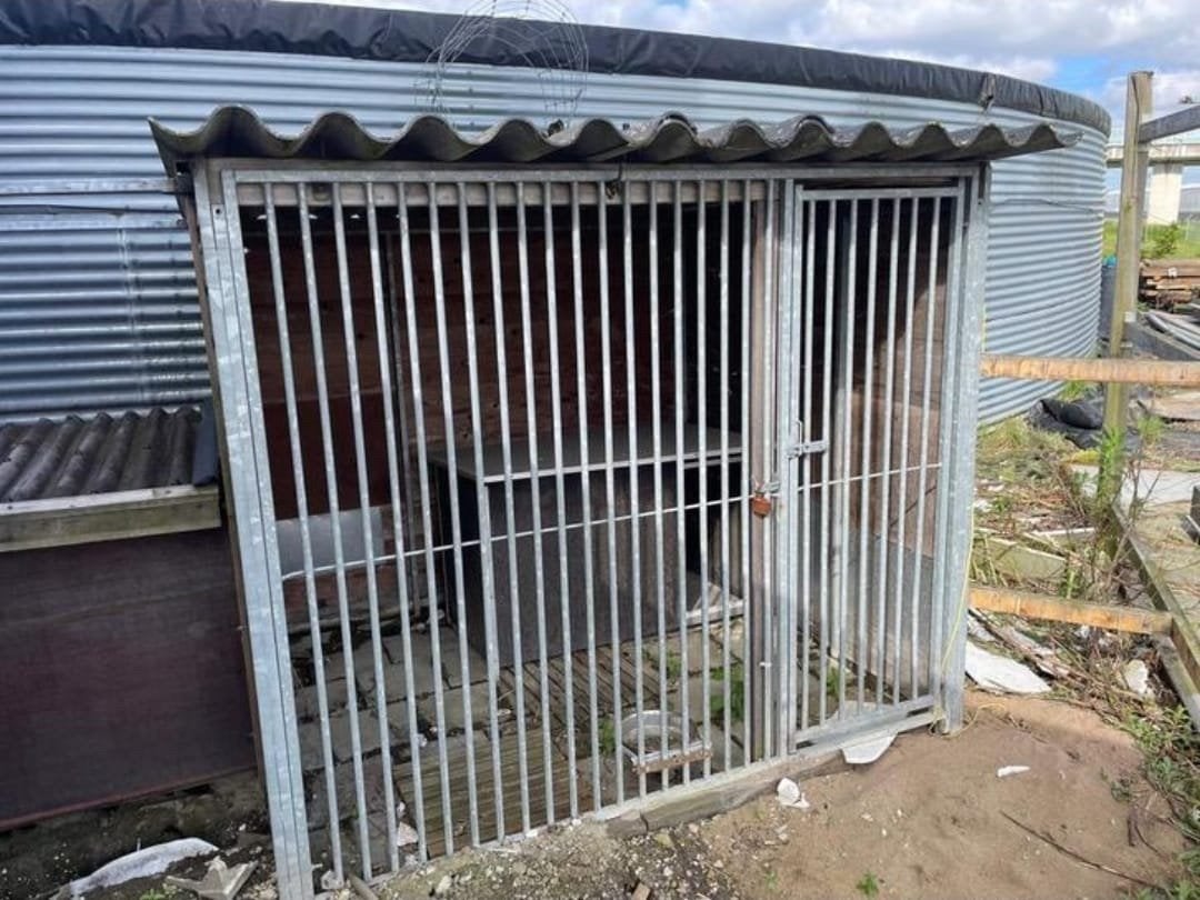 Complete kennel, Ophalen, Hondenkennel, 100 cm of meer, 110 cm of meer