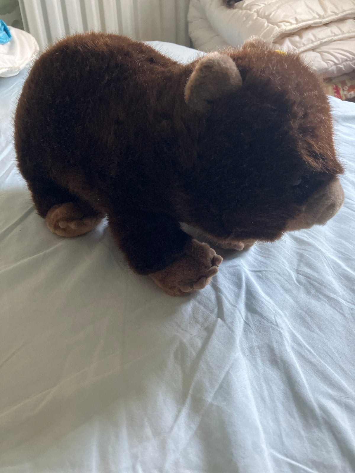 Steiff Wombat knuffel, Overige karakters, Overige typen, Ophalen of Verzenden, Middelgroot (20 tot 80 cm)