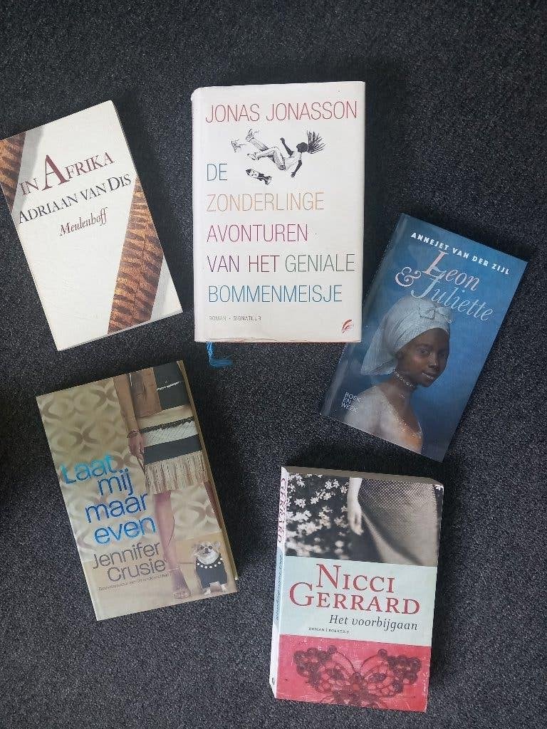 Diverse romans, Ophalen of Verzenden, Zo goed als nieuw