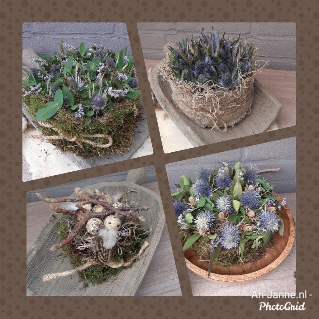 Landelijke taartjes, groendecoratie, droogbloemen, Meerkleurig, Nieuw, Ophalen of Verzenden, Landelijk