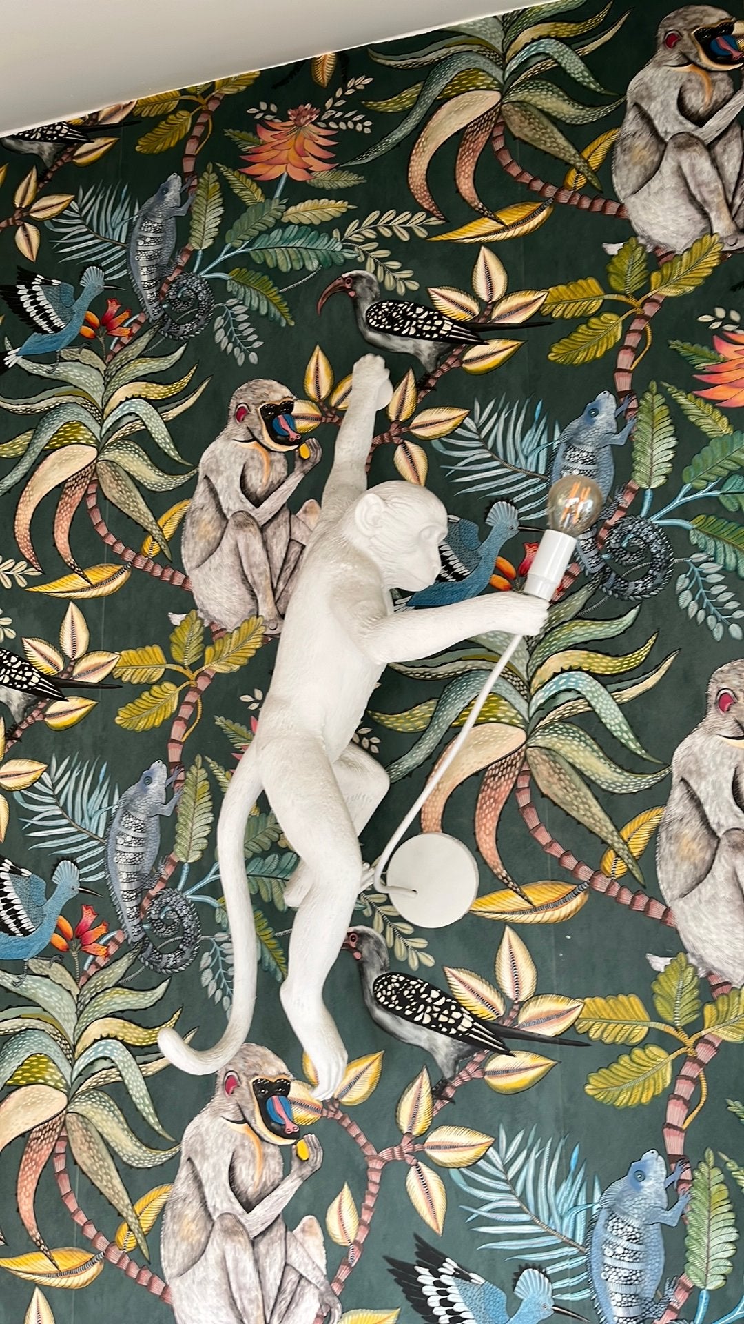 Monkey lamp, Ophalen of Verzenden
